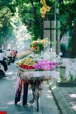 File in lụa file tranh in treo tường file decor tổng hợp R2171 (chất lượng cao) file tranh in treo tường file decor tổng hợp R2171