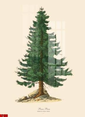 Tải file tranh gốc file tranh in treo tường file decor tổng hợp R2199 chất lượng cao