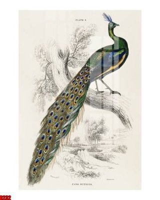 File tranh gốc file tranh in treo tường file decor tổng hợp R232 (sắc nét từng chi tiết)