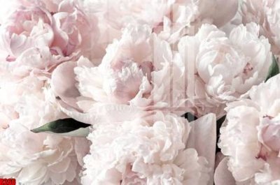 File PSD file tranh in treo tường file decor tổng hợp R266 (bản gốc) chất lượng nhất