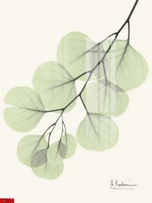 Download file gốc file tranh in treo tường file decor tổng hợp R2684 (in lụa) nghệ thuật