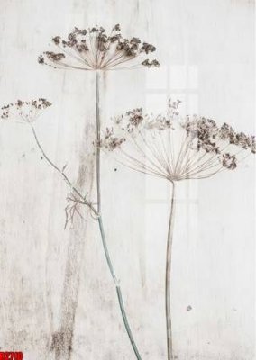 File in trần file tranh in treo tường file decor tổng hợp R2710 (bản gốc) 5D