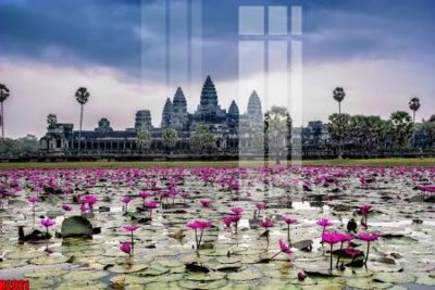 Ảnh gốc file tranh in treo tường file decor tổng hợp R2961 (độ nét cao) in mica