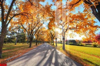 File in trần file tranh in treo tường file decor tổng hợp R2979 (bản gốc) trời sao