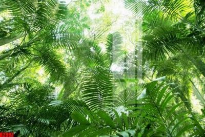 Download file gốc file tranh in treo tường file decor tổng hợp R2991 (in lụa) nghệ thuật