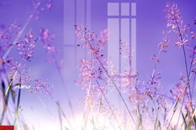 File gốc in ấn file tranh in treo tường file decor tổng hợp R3003 chuẩn màu CMYK