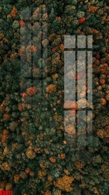 Tải file file tranh in treo tường file decor tổng hợp R3017 (ảnh gốc) in gạch men