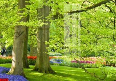 File tranh file tranh in treo tường file decor tổng hợp R3083 (gốc) chủ đề tĩnh vật