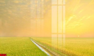 File gốc file tranh in treo tường file decor tổng hợp R3091 (in mica) làm quà tặng