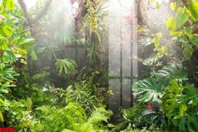 Tải file gốc file tranh in treo tường file decor tổng hợp R3096 (in khổ lớn) không mờ