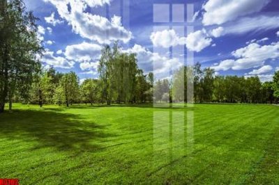 File tranh gốc file tranh in treo tường file decor tổng hợp R3102 (sắc nét từng chi tiết)