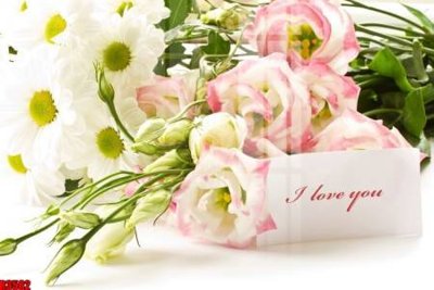 File PSD file tranh in treo tường file decor tổng hợp R3582 (bản gốc) dễ dàng edit