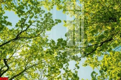 File gốc file tranh in treo tường file decor tổng hợp R3601 (in lụa) cao cấp