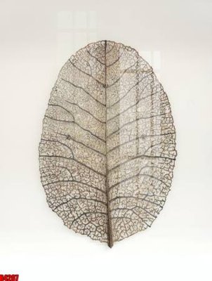 Tải file gốc file tranh in treo tường file decor tổng hợp R4207 (in khổ lớn) không vỡ