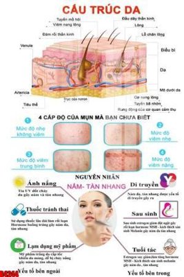 Download file file tranh in treo tường file decor tổng hợp R4244 (gốc) in mica cao cấp