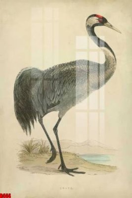 Tải file file tranh in treo tường file decor tổng hợp R444 (gốc) in trên mọi chất liệu