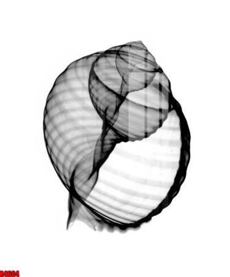 File gốc file tranh in treo tường file decor tổng hợp R4604 (ảnh chi tiết) để in trần