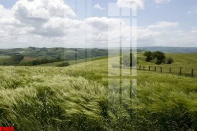 File PSD file tranh in treo tường file decor tổng hợp R4669 (gốc) cho in quảng cáo