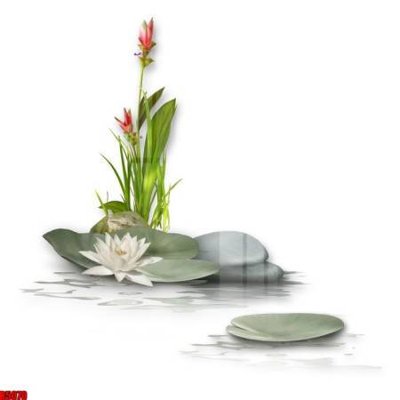 Tải file file tranh in treo tường file decor tổng hợp R5070 (gốc) in tranh tráng gương