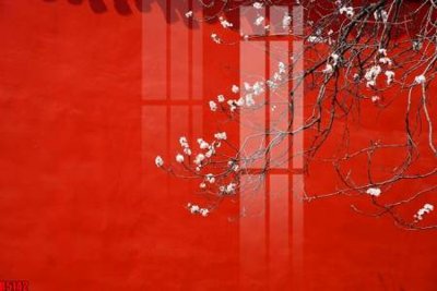 File gốc file tranh in treo tường file decor tổng hợp R5142 (cho in 3D) độc đáo