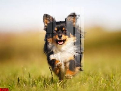 Tải file file tranh in treo tường file decor tổng hợp R5203 (ảnh gốc) độ phân giải 300dpi