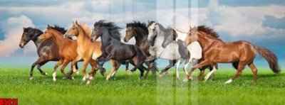 Tải file file tranh in treo tường file decor tổng hợp R5211 (gốc) chủ đề phong thủy