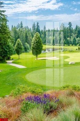 File gốc file tranh in treo tường file decor tổng hợp R5227 (dành cho quảng cáo)