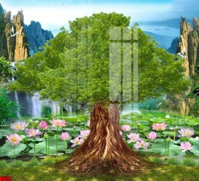 File tranh file tranh in treo tường file decor tổng hợp R524 (bản gốc) treo phòng ăn