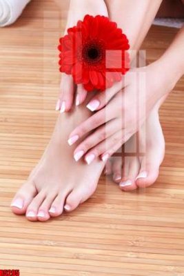 Tải file file tranh in treo tường file decor tổng hợp R5295 (ảnh gốc) in tranh kính