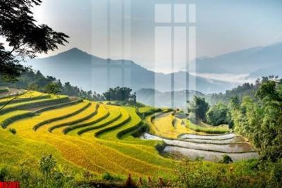 File tranh trang trí file tranh in treo tường file decor tổng hợp R5301 (file gốc)