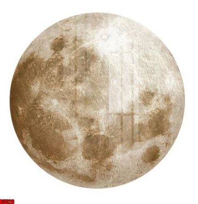 File ảnh file tranh in treo tường file decor tổng hợp R5529 (gốc) in decal dán tường