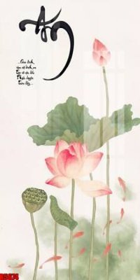 File in ấn file tranh in treo tường file decor tổng hợp R5674 (bản gốc) chất lượng cao