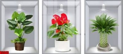 File tranh file tranh in treo tường file decor tổng hợp R5963 (ảnh gốc) sắc nét hoàn hảo