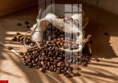 File in ấn file tranh in treo tường file decor tổng hợp R6349 (bản gốc) chất lượng cao