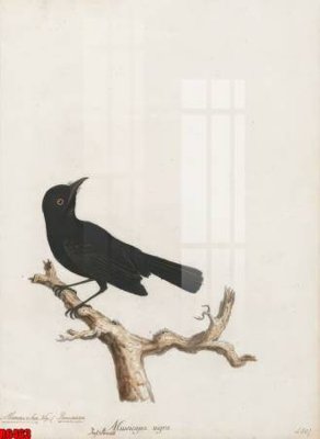 Download file gốc file tranh in treo tường file decor tổng hợp R6463 (in lụa) tranh 3D