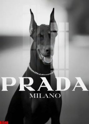 Download file gốc file tranh in treo tường file decor tổng hợp R7546 (in mica) trang trí