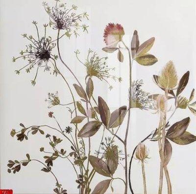 File gốc file tranh in treo tường file decor tổng hợp R7730 (Filetranh.com) file tranh in treo tường file decor tổng hợp R7730