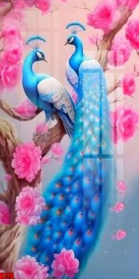 Tải file file tranh in treo tường file decor tổng hợp R779 (gốc) in trên mọi chất liệu