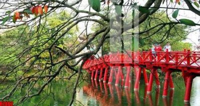 File in mica file tranh in treo tường file decor tổng hợp R7882 (bản gốc) sắc sảo