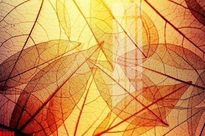 File tranh file tranh in treo tường file decor tổng hợp R8004 (gốc) chủ đề thành phố