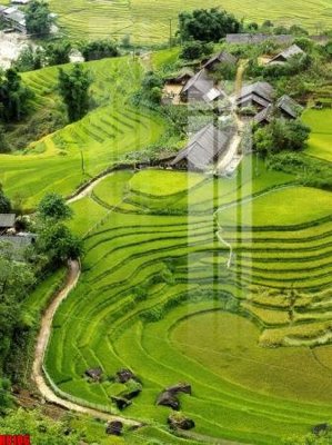 Tải file gốc file tranh in treo tường file decor tổng hợp R8106 (in khổ lớn) quảng cáo