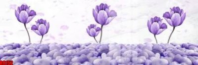 File gốc file tranh in treo tường file decor tổng hợp R8152 (ảnh chi tiết) để in lụa