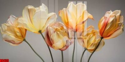 Download file gốc file tranh in treo tường file decor tổng hợp R8439 (in mica) 3D