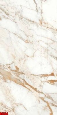 File gốc file tranh in treo tường file decor tổng hợp R8584 (ảnh chi tiết) để in lụa