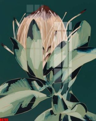 File in trần file tranh in treo tường file decor tổng hợp R8790 (bản gốc) phong cảnh