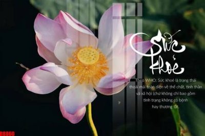 File gốc file tranh in treo tường file decor tổng hợp R8860 (chuẩn CMYK) cho nhà in