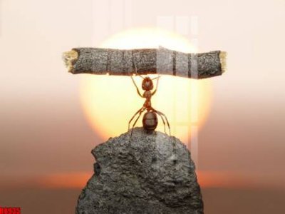 File ảnh file tranh in treo tường file decor tổng hợp R8935 (gốc) in backdrop sự kiện