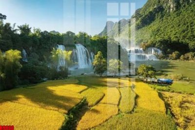 File in trần file tranh in treo tường file decor tổng hợp R9036 (file gốc) hoa văn 3D