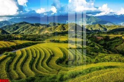 Tải xuống file tranh gốc file tranh in treo tường file decor tổng hợp R9042 (PSD/TIFF)