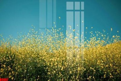 File tranh file tranh in treo tường file decor tổng hợp R9067 (gốc) in backlit film